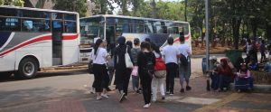 Treasure-Hunt-TMII